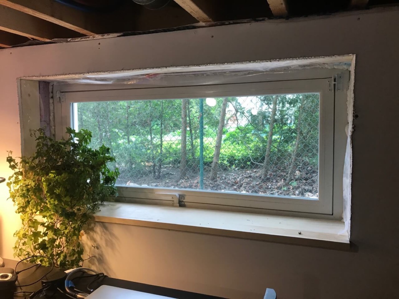 A large basement window looking out onto trees at ground level